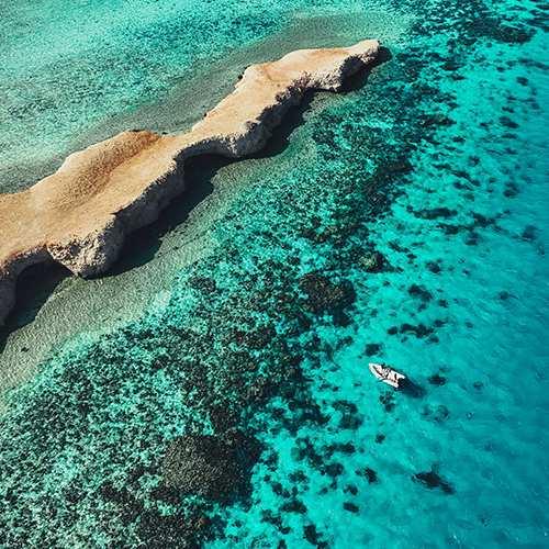 Red Sea